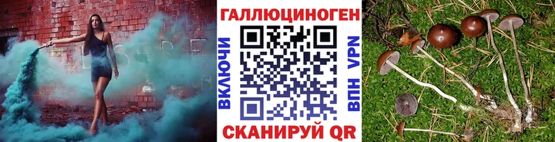 мега рабочий сайт  продажа наркотиков  Геленджик  Псилоцибиновые грибы Magic Shrooms 